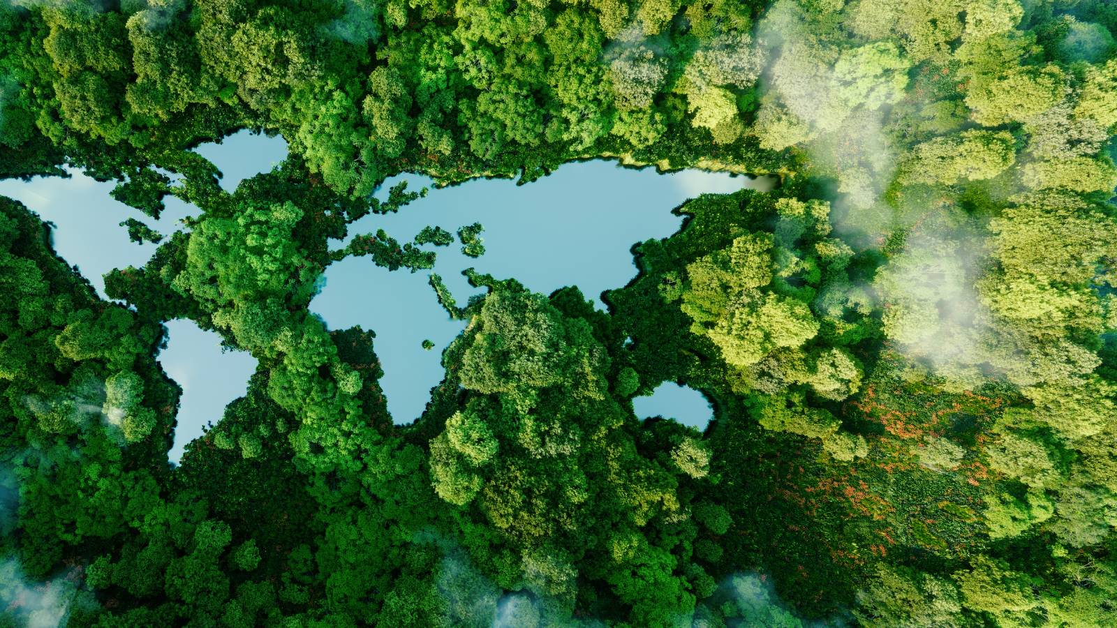 Sustainable Innovation